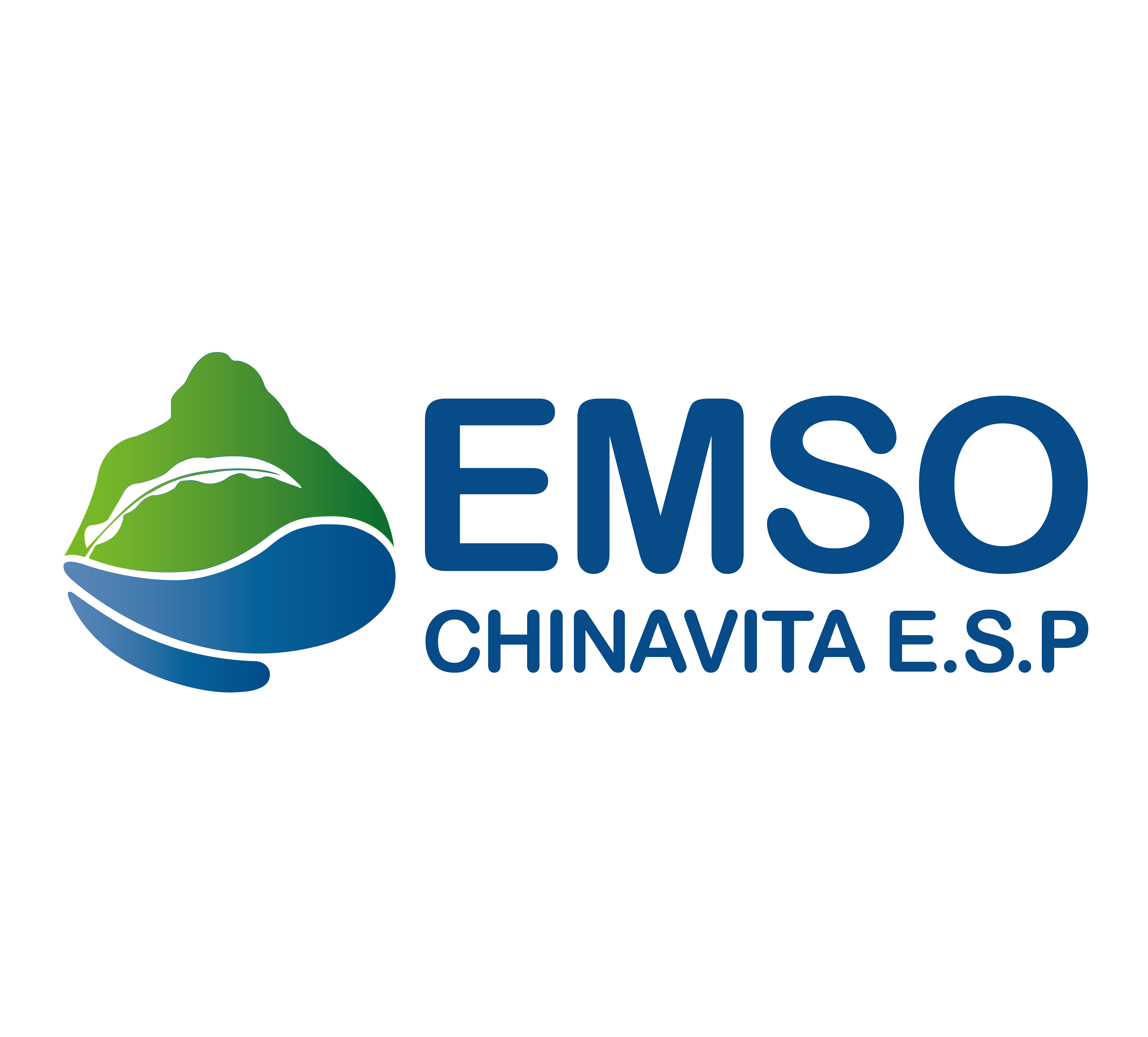 Logo EMSOCHINAVITA